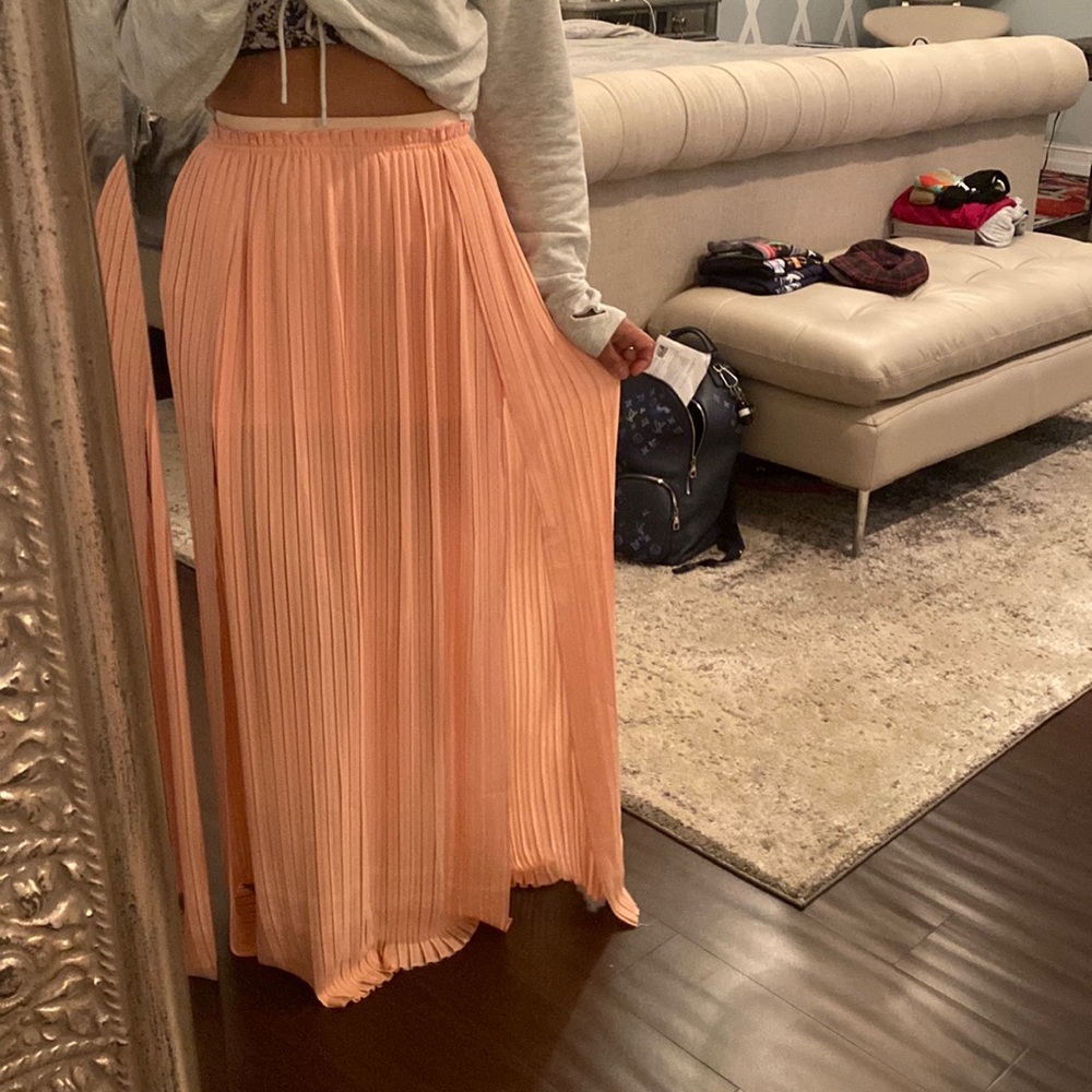 Lush sheer chiffon pleated skirt